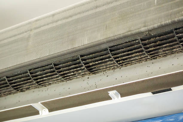 Best Air Duct Cleaning Near Me  in Statesboro, GA
