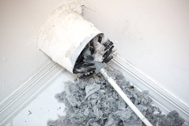 Best Air Duct Mold Removal  in Statesboro, GA